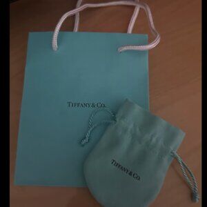 Tiffany & Co Small Paper Bag And Drawstring Microsuede Pouch